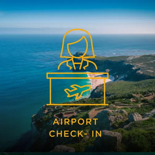 Airport check in