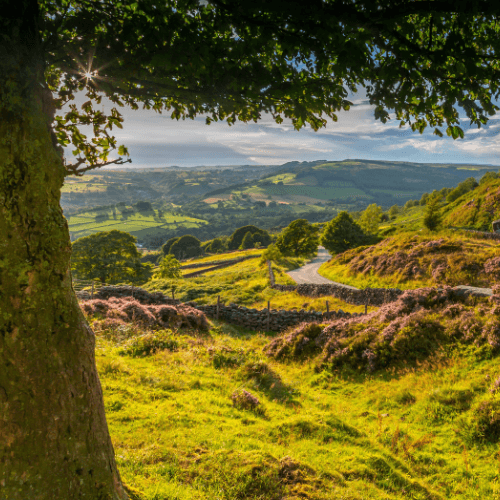 Derbyshire
