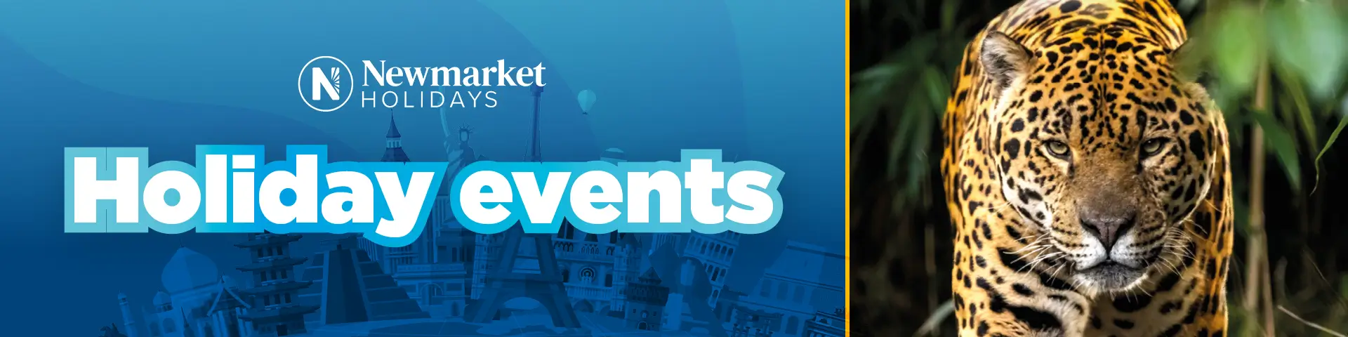 Newmarket Holiday Consumer Events 