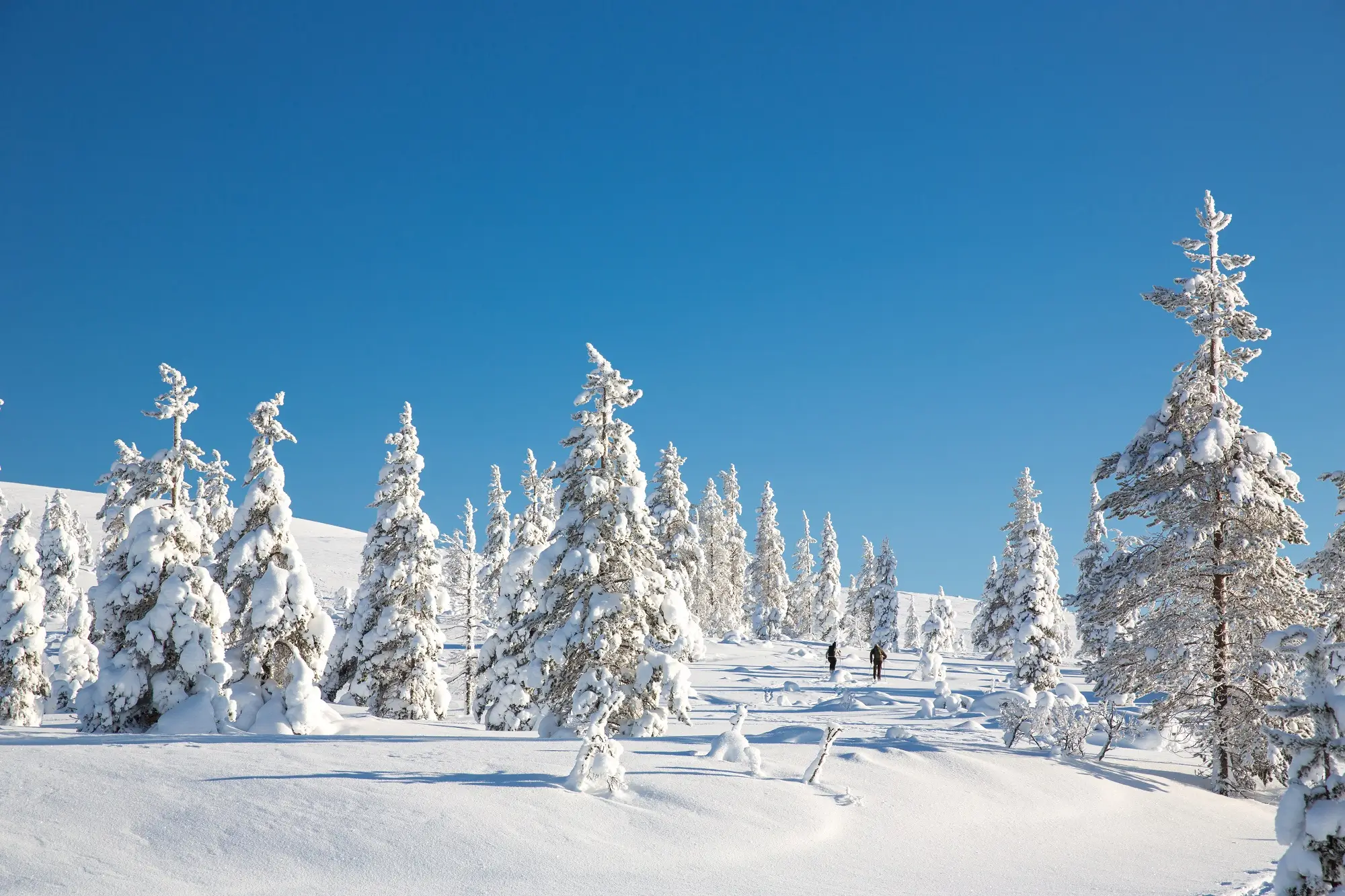 Where is the best place to stay?