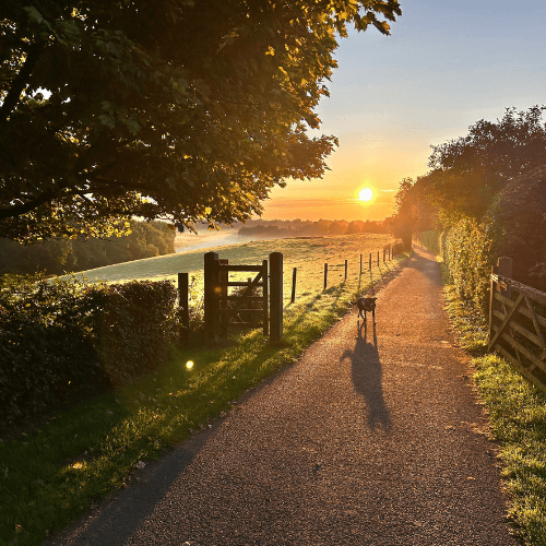 Wiltshire