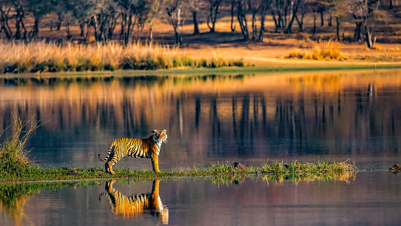Highlights of India - From the Golden Triangle to Kerala
