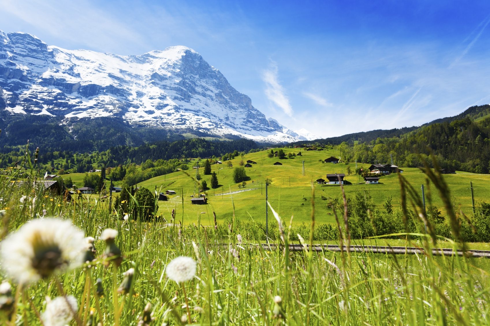 Skiing in the Alps