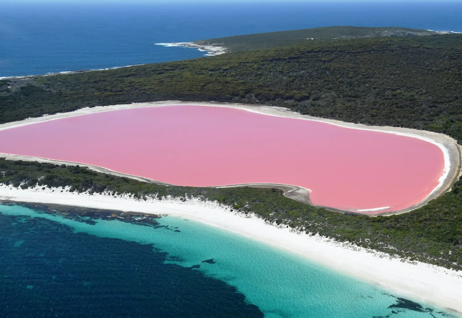 Pink-coloured water of Lake Hillier, Western Australia