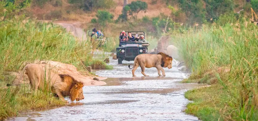 Get ready to explore with Just You & Travelsphere