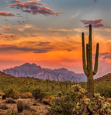 Arizona