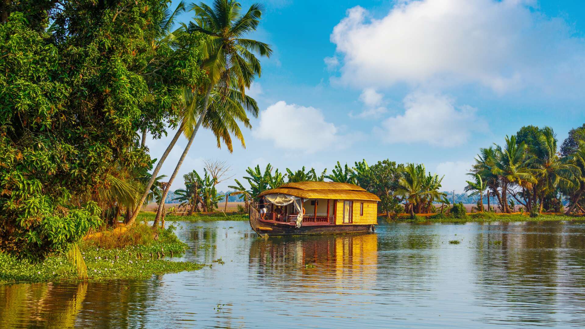 Enchanting Kerala