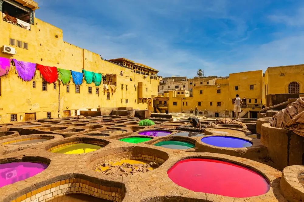Fez tannery