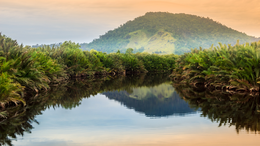 Borneo