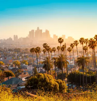 Transatlantic Delights with Stars of Hollywood	