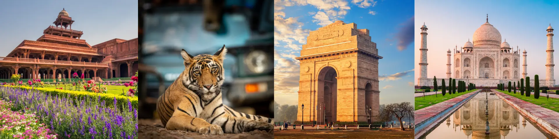 India’s Golden Triangle with Natalie 