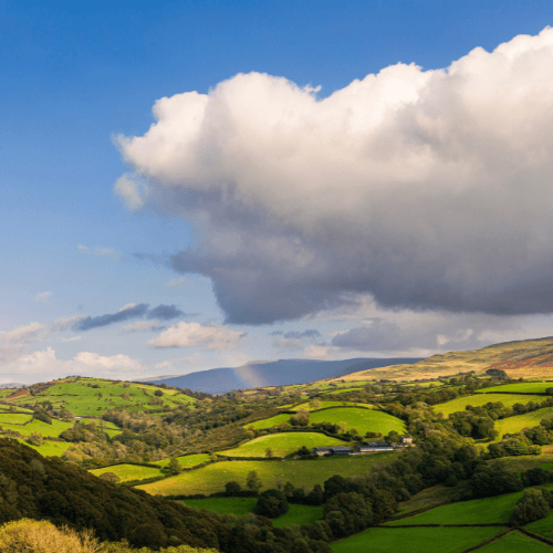Carmarthenshire