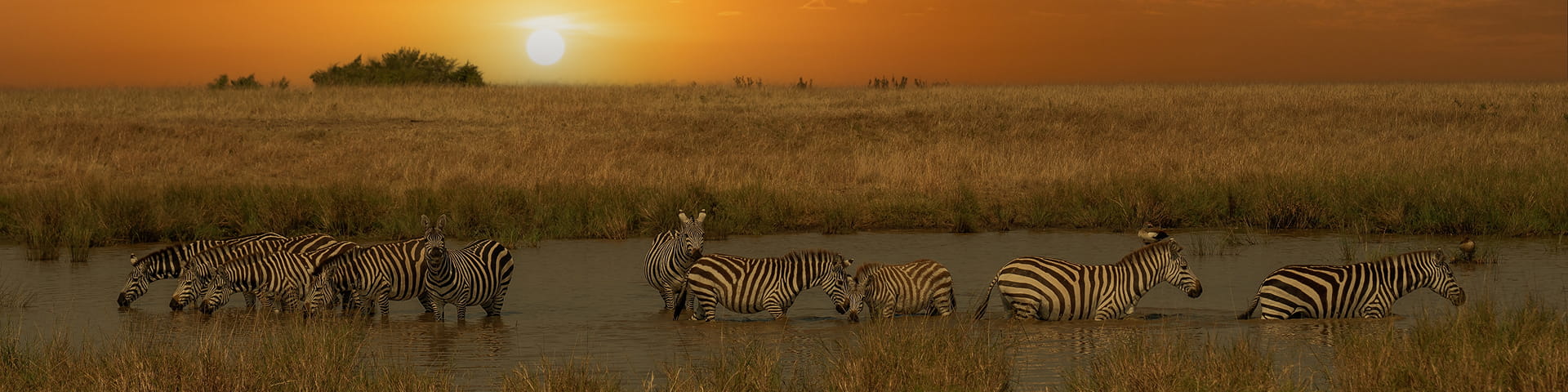 Kenya: Safari & Beach